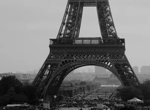 DAVID HALLYDAY - DAVID HALLYDAY : REQUIEM POUR UN FOU